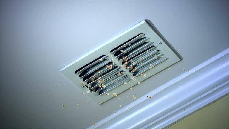 Best Ventilation Cleaning Services  in Sutton Alpine, AK
